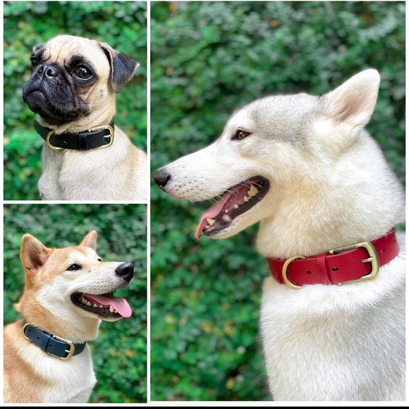 Tuff Pupper Classic Heavy Duty Dog Collar | 10x Stronger Than Leather | RED - Picture 8 of 10